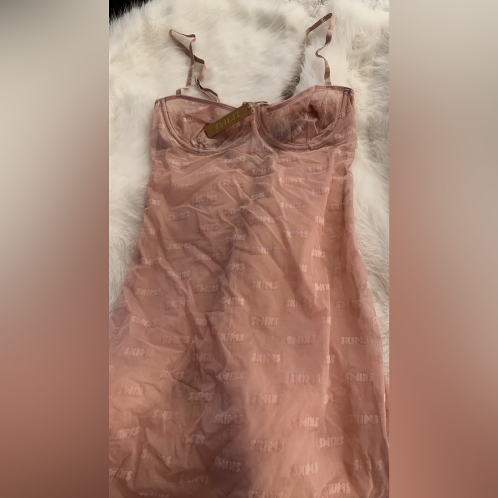 Sheer Pink Intimate Slip